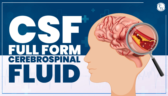 CSF Full Form, Significance, Characteristics, Circulation, Functions