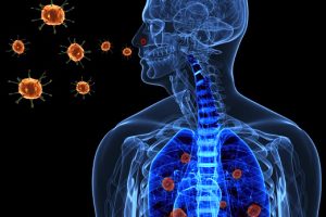 Using Lifeline® Lung-Airway Cells to Study Viral Infection