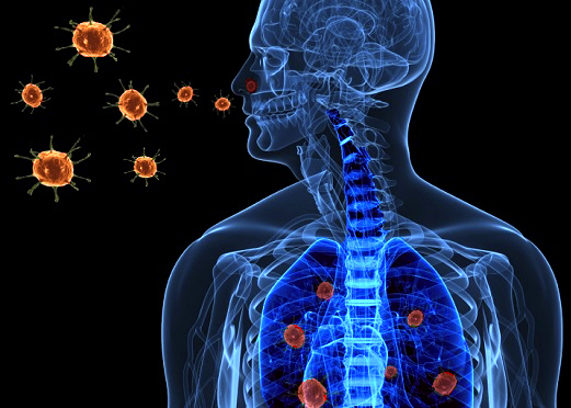 Using Lifeline® Lung-Airway Cells to Study Viral Infection