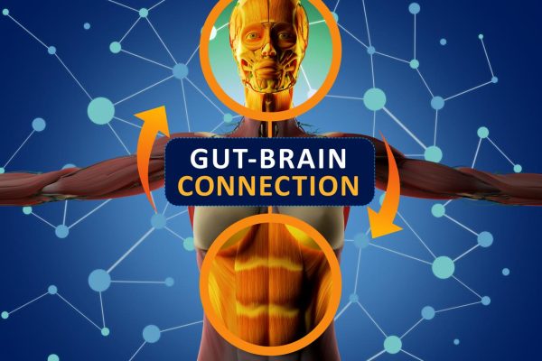 Go with your gut: All about the gut-brain connection | Connecticut Public