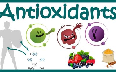 Antioxidants | What Are Antioxidants ? | Antioxidants Benefits | Free  Radicals and ROS scavenging - YouTube