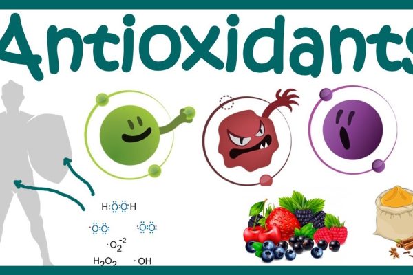 Antioxidants | What Are Antioxidants ? | Antioxidants Benefits | Free  Radicals and ROS scavenging - YouTube