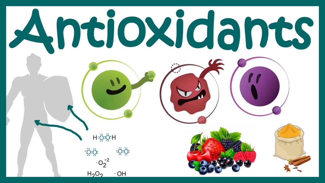 Antioxidants | What Are Antioxidants ? | Antioxidants Benefits | Free  Radicals and ROS scavenging - YouTube