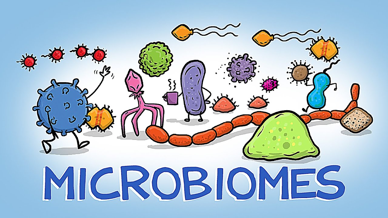 The HIDDEN World of Microbiomes - YouTube