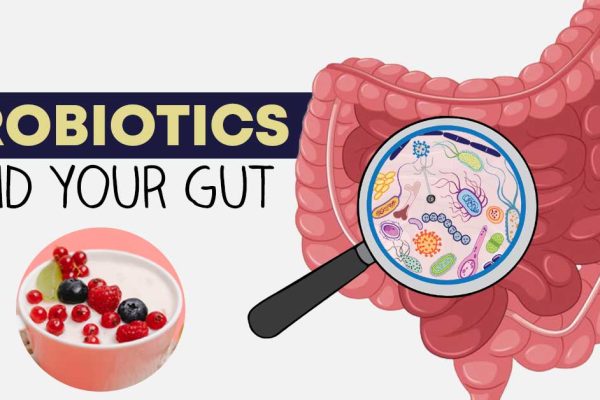 How Probiotics Can Help Your Gut Health - Williams Integracare Clinic